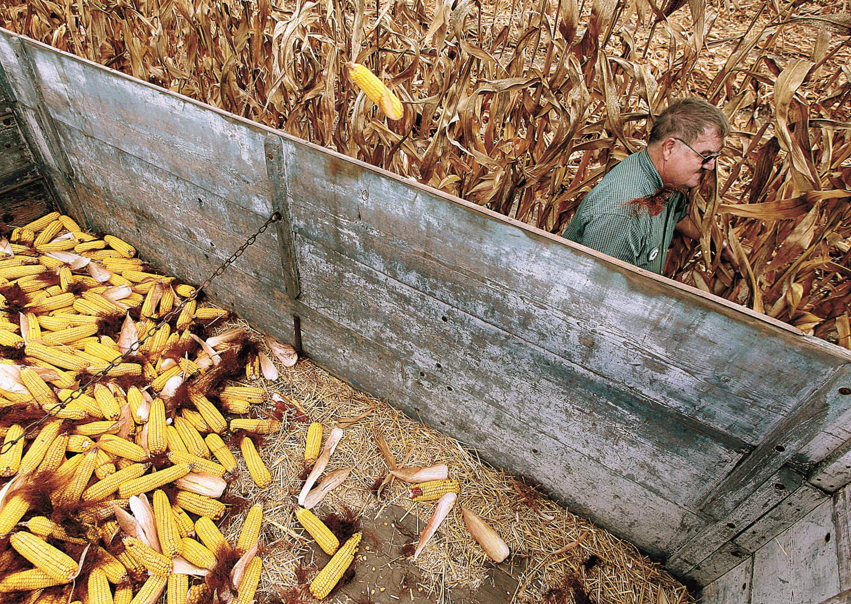 FARM-BOOK-004
